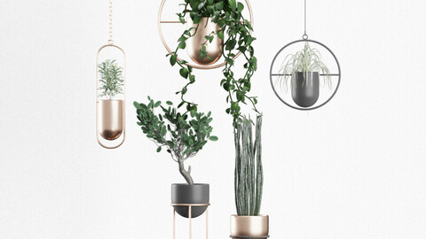 Hanging and Standing Modern Planters