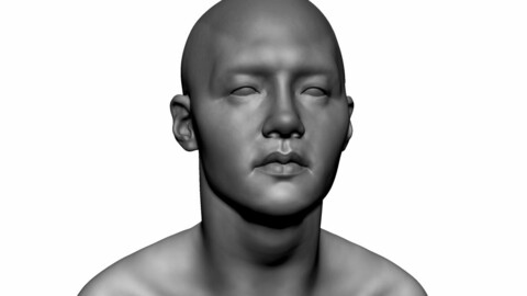 Asian Male Head 02