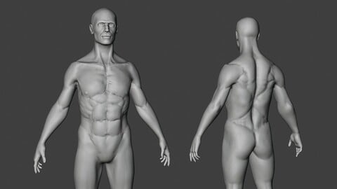 Male Body Sculpt