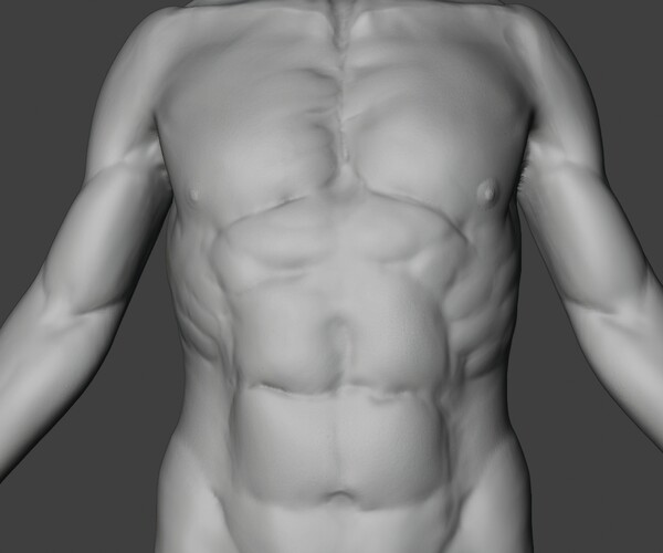 ArtStation - Male Body Sculpt | Resources