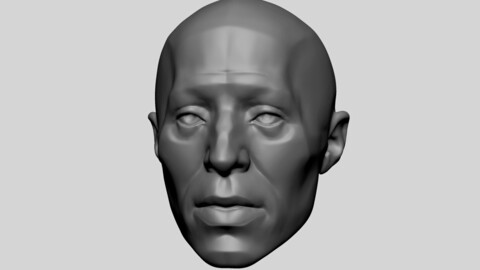 Base Male Head Anatomy