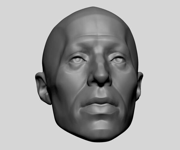 ArtStation - Base Male Head Anatomy | Resources