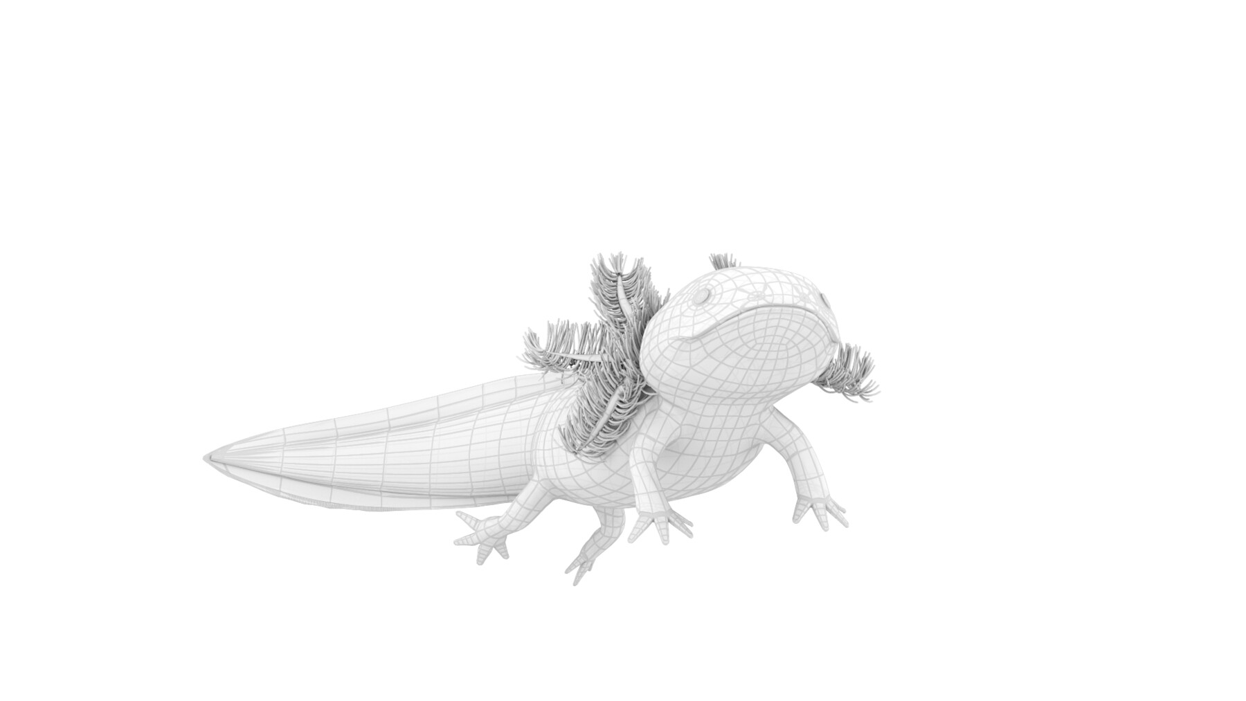 ArtStation Axolotl Game Assets