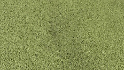 Green Carpet PBR Texture