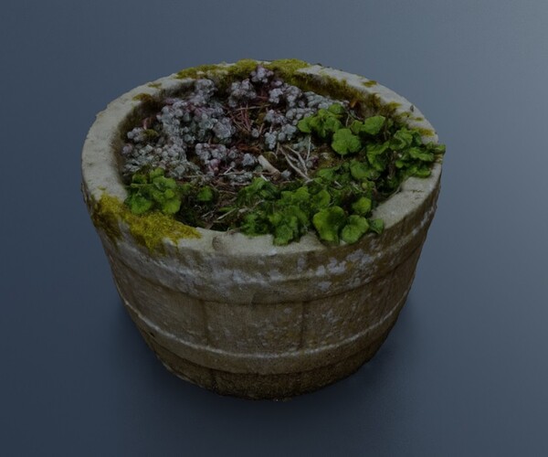 ArtStation - Plant Pot 1 | Game Assets
