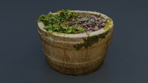 Plant Pot 1