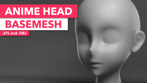 Anime Head Basemesh