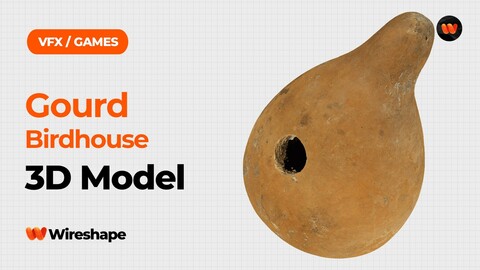 Gourd Birdhouse Raw Scanned 3D Model