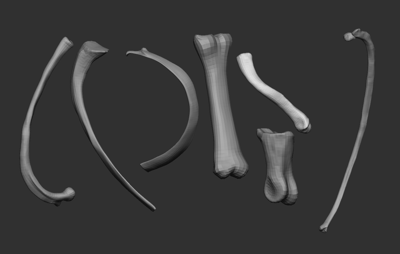 ArtStation - Pack of different animal bones IMM brush. | Brushes