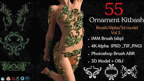 55 Ornament Brushes + 3D Model + IMM Brush Vol 03