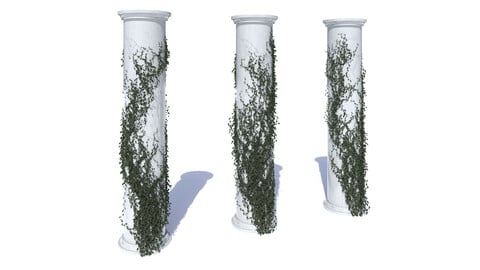 Collection of different ivy on the columns