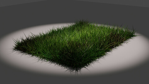 8K Grass Image Free Download with Image and blender file....