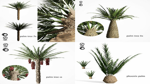 3D Assets: Collection of Palm Trees