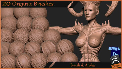 20 Organic Brushes Zbrush