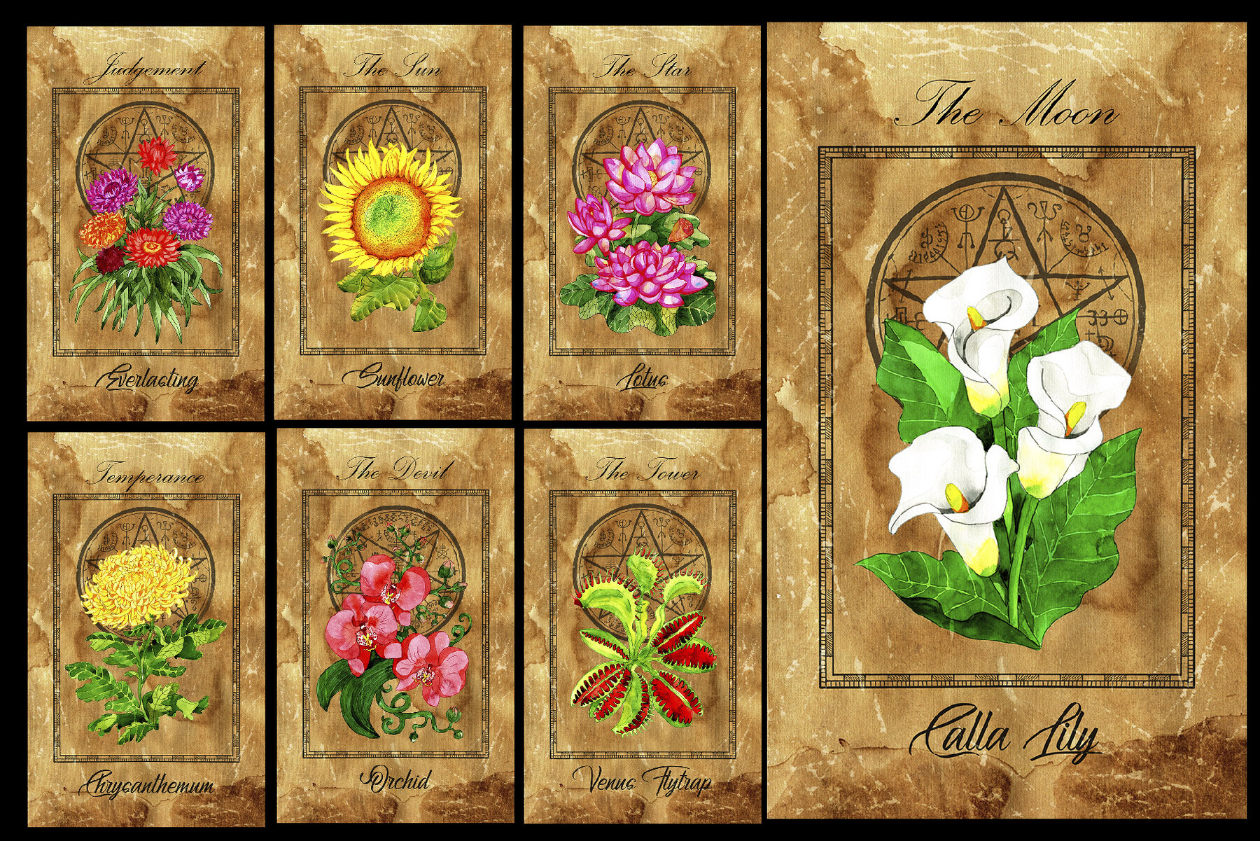 ArtStation Enchanted Flowers Tarot deck Artworks