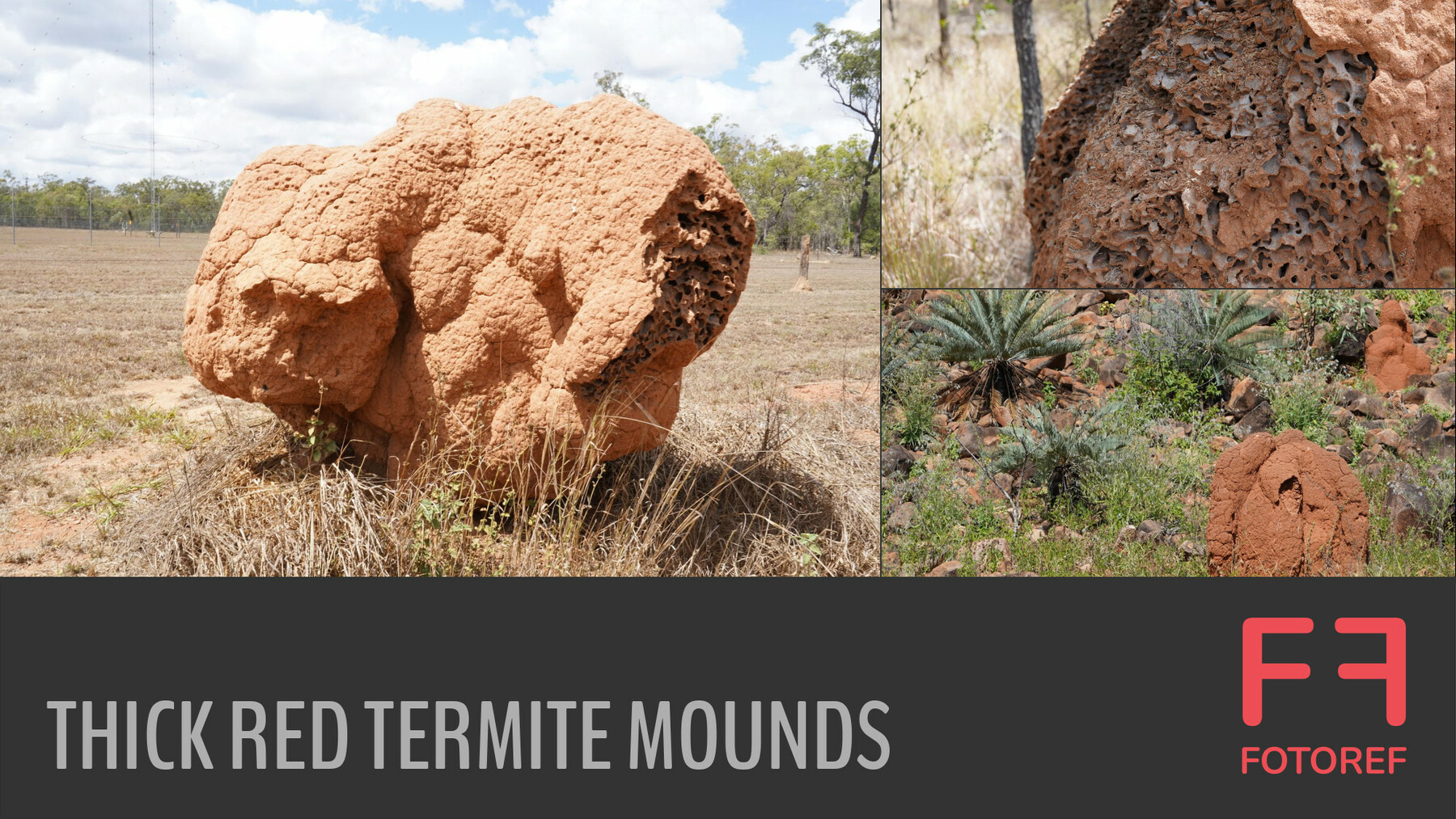 FOTOREF.COM Photo Packs - 90 photos of Thick Red Termite Mounds