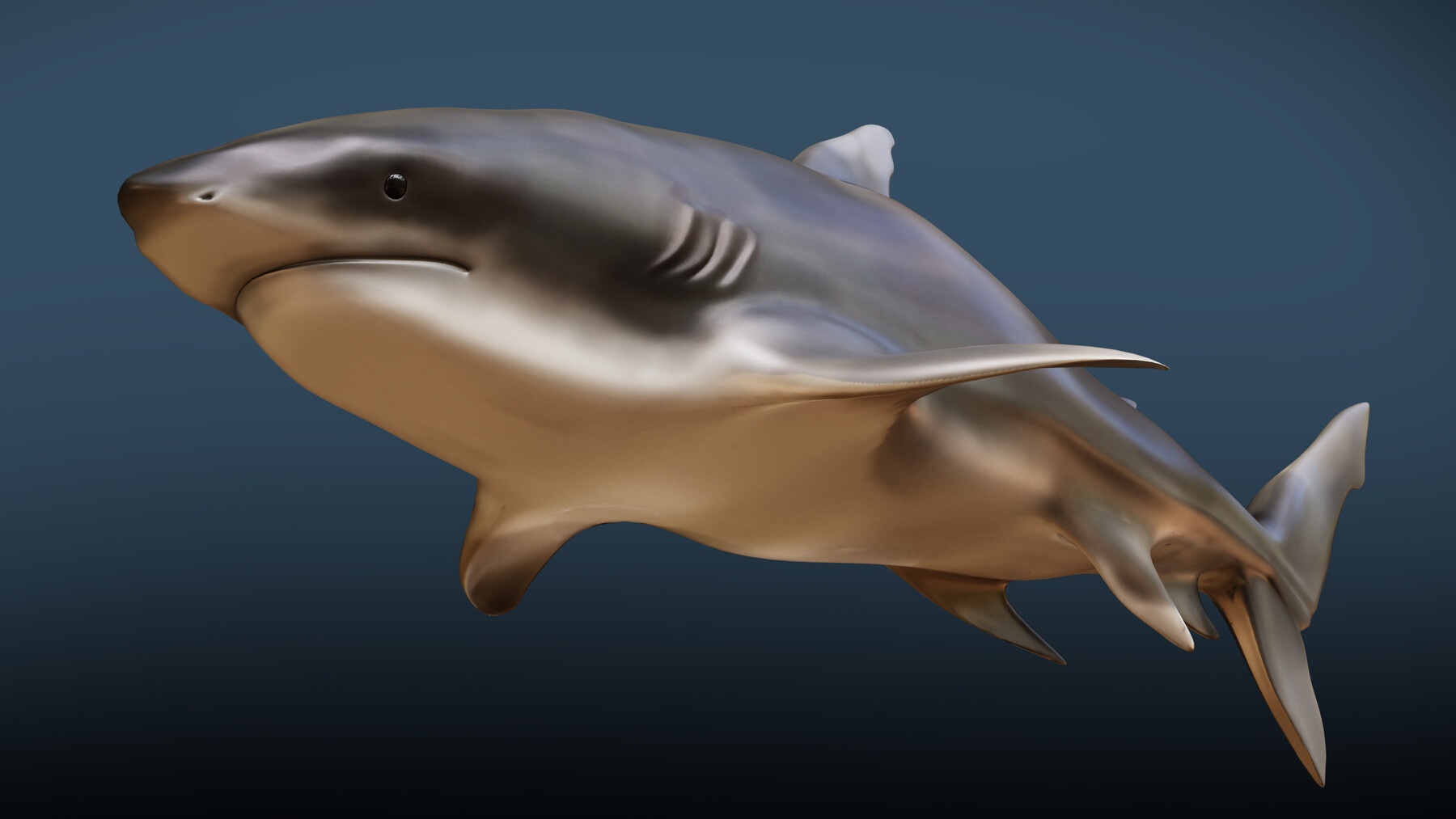 Rigged Low Poly Whale Shark for Blender free 3D model rigged