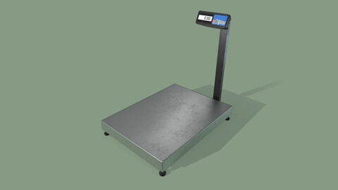 Floor Scales