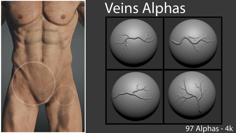 Veins Alphas