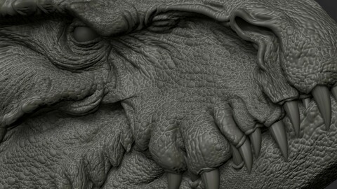 HD Dragon Bust for 3d printing .