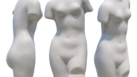 363 Lesser Torso of Venus