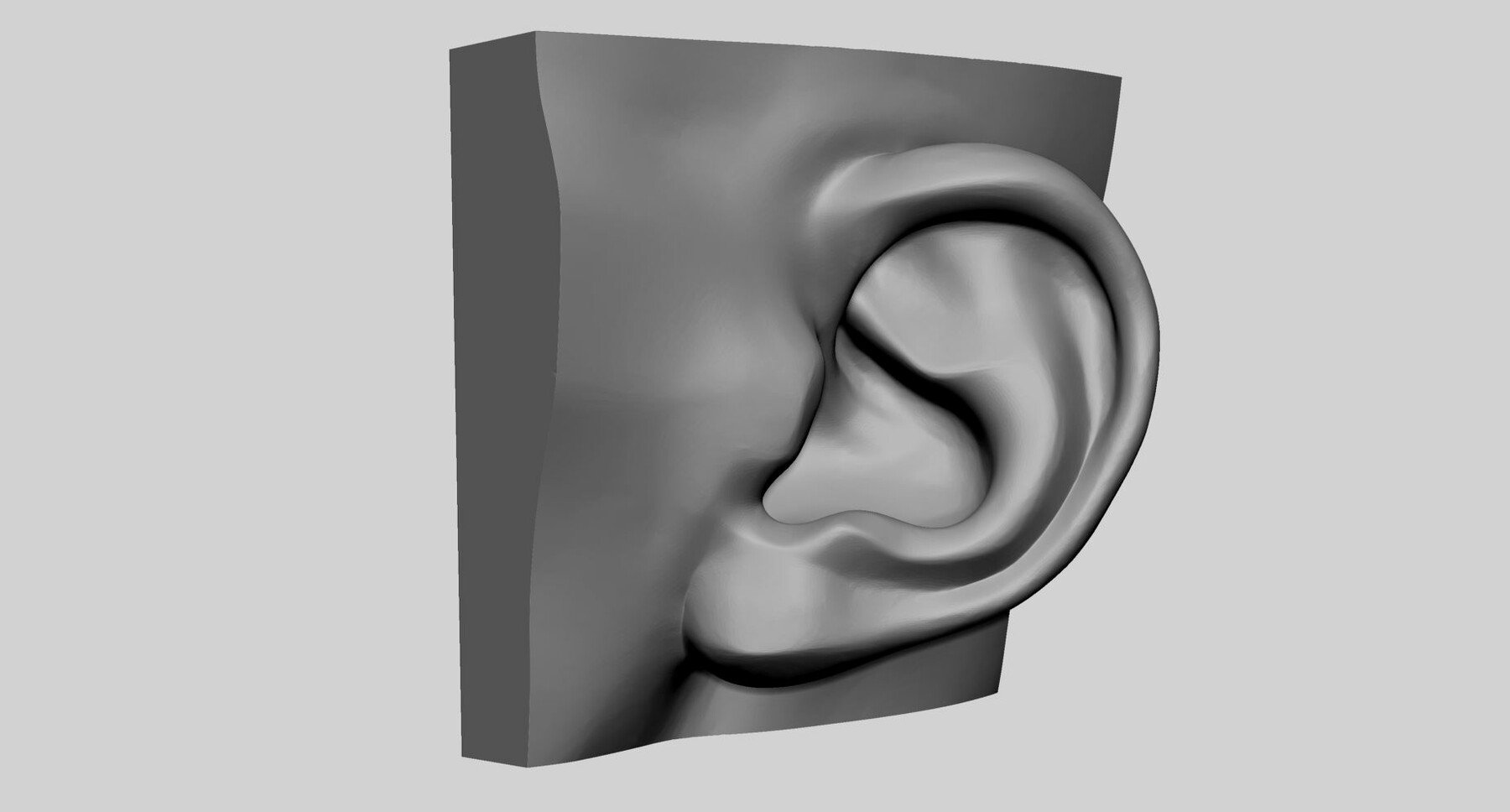 ArtStation - Ear Printable 02 | Resources