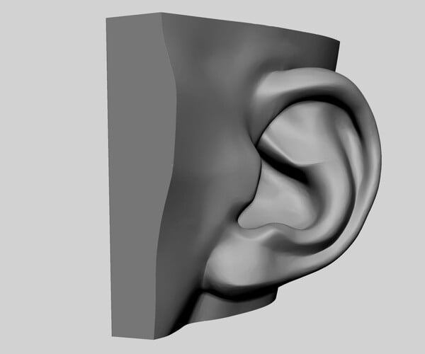 ArtStation - Ear Printable 02 | Resources