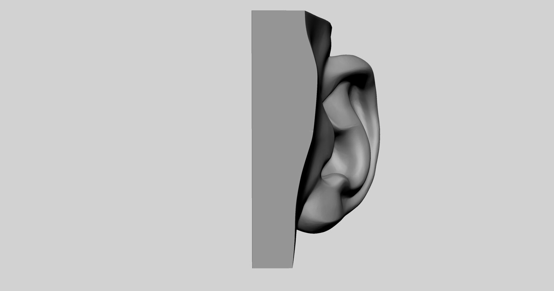 ArtStation - Ear Printable 02 | Resources