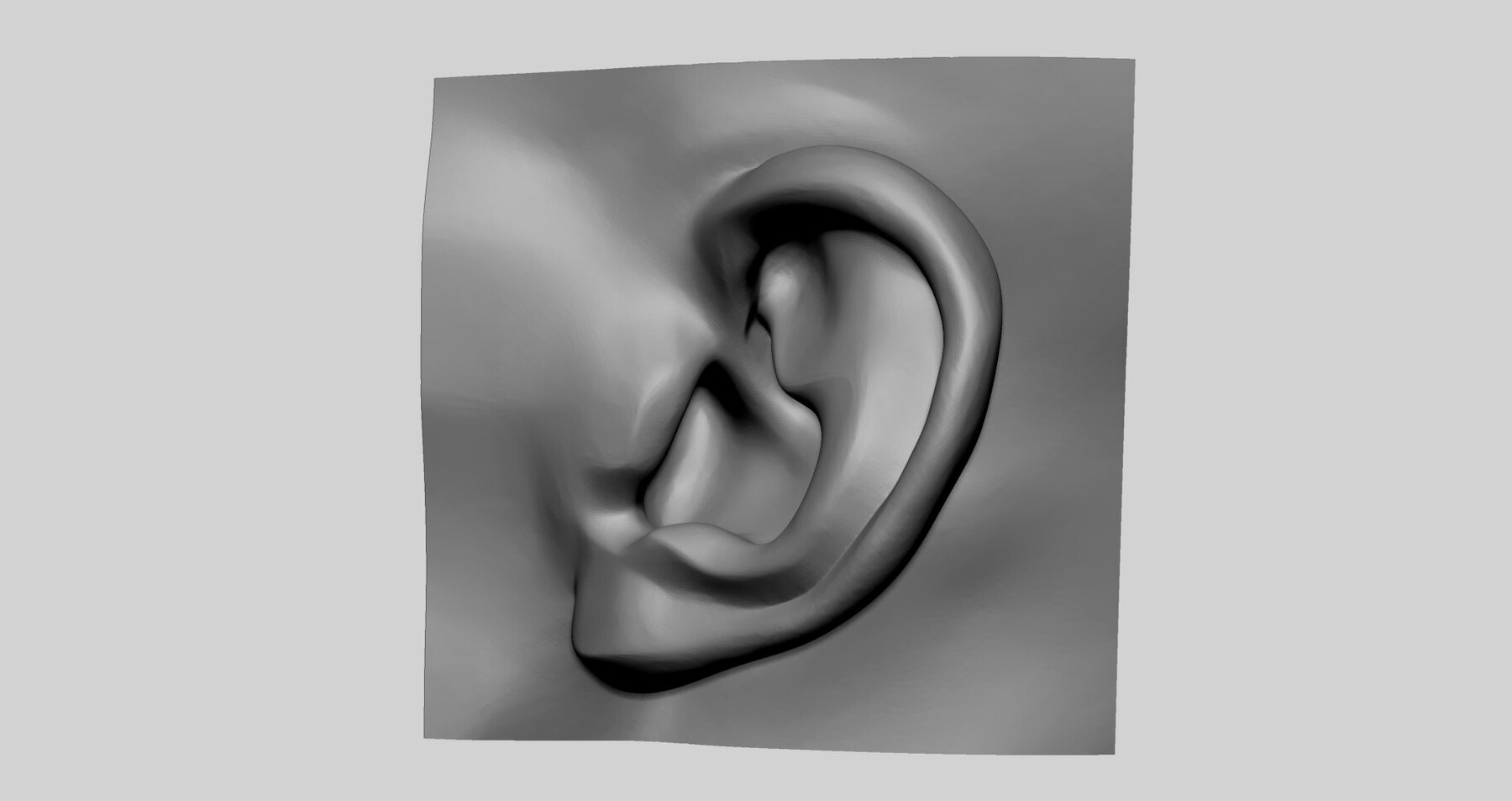 ArtStation - Ear Printable 02 | Resources