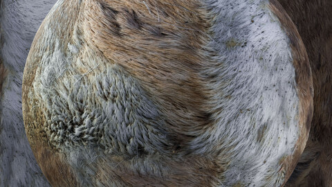PBR Reindeer Fur 8 - 8K Seamless Texture