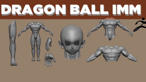 IMM DRAGON BALL MALE BODY