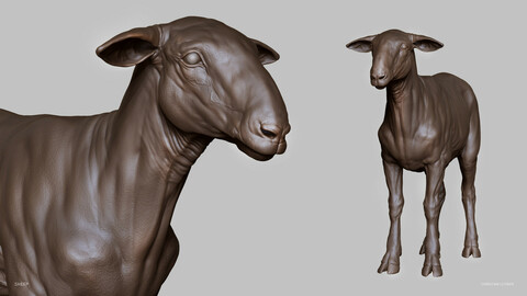 SHEEP - sculpt/retopology/uvs