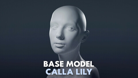 Calla Lily Base Model