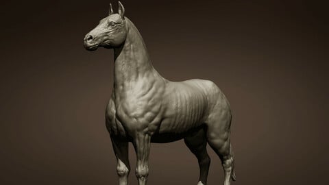 Free Horse 3d model