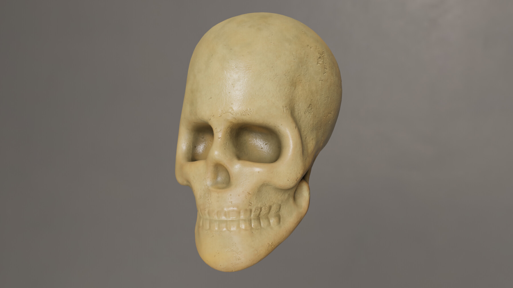 ArtStation - Human Skull | Resources