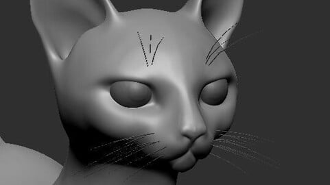 Base Mesh Cat Sfinx