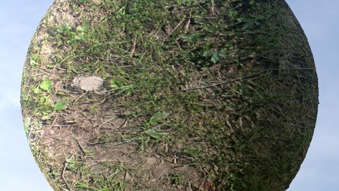 Dirt Grass 10 PBR Material