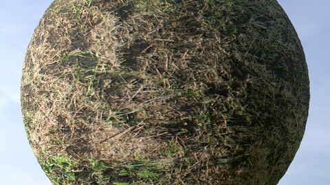 Dry Grass 9 PBR Material