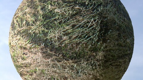 Dry Grass 10 PBR Material