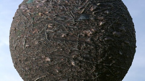 Forest Ground 27 PBR Material