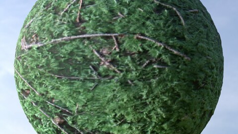 Forest Ground 28 PBR Material