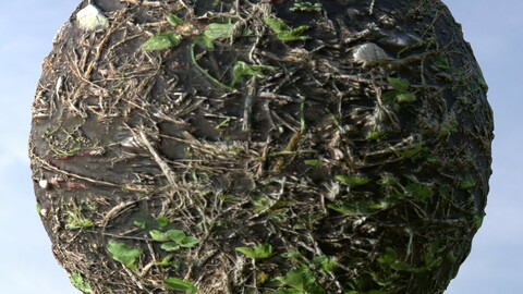 Forest Ground 30 PBR Material