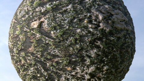 Forest Ground 38 PBR Material