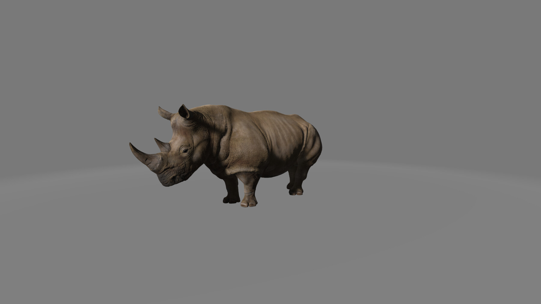 ArtStation - Rhino.