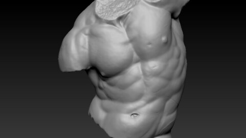 Gaddi Torso 3D (obj)