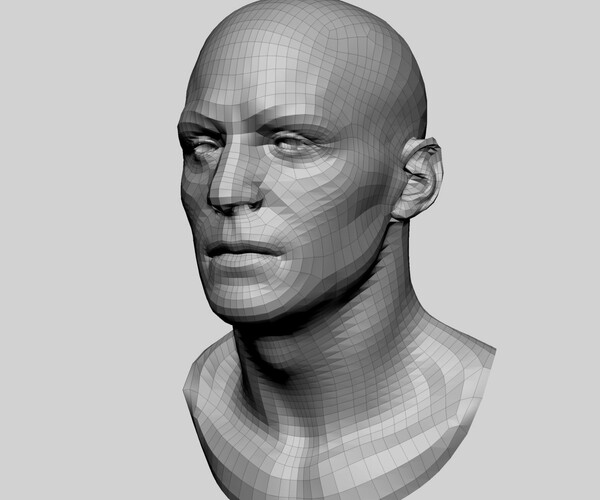 ArtStation - Base Male and Female Head | Resources