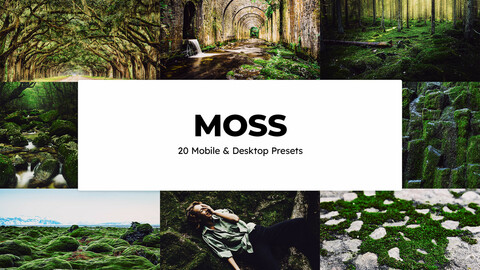 20 Moss LUTs and Lightroom Presets