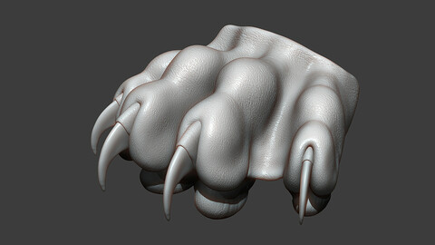Cat Paw Highpoly Sculpt