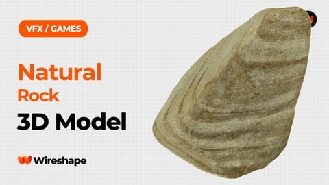 Natural Rock Raw Scanned 3D Model