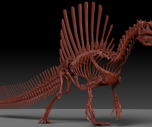 ArtStation - Spinosaurus 2020 version Full Set Skeletons Sculpt Project ...